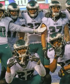 Philadelphia Eagles Paint By Numbers