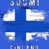 suomi finland flag paint by numbers