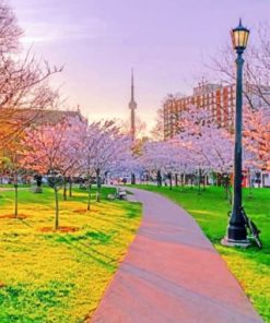 Toronto Cherry Blossoms paint By Numbers