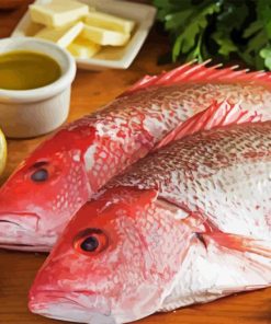 Northern Red Snapper Fish Paint By Number