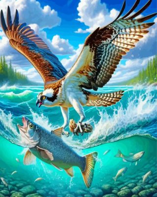 Osprey Carrying Fish Art Paint By Number