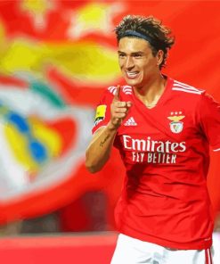 Football Player Darwin Nunez Paint by Numbers