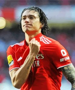 Footballer Nunez Paint by Number