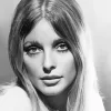 Sharon Tate Paint by Number