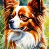 Papillon Dog Art Paint by Number