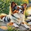 Papillon Puppy Art Paint by Number