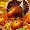 Thanksgiving Turkey Bird Paint by Number