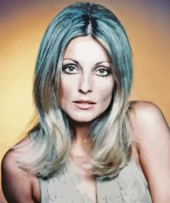The Actress Sharon Tate Paint by Number