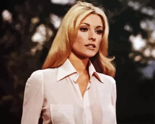 Vintage Sharon Tate Paint by Number
