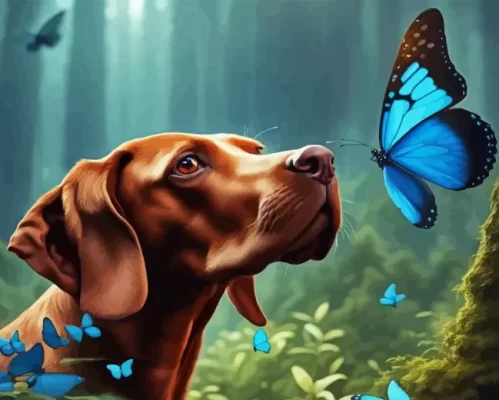 Vizsla Dog And Butterflies Paint by Number