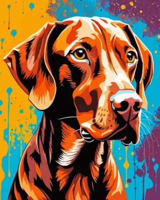 Vizsla Dog Art Paint by Number