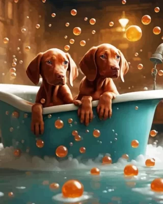 Vizsla Dogs Bathing Paint by Number