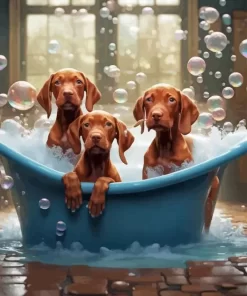 Vizsla Dogs Paint by Number