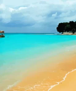West Coast Barbados Paint by Number