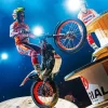 Toni Bou Art Paint by Number