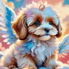 Angel Cavapoo Paint by Number