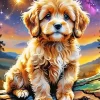 Cavapoo Dog Paint by Number