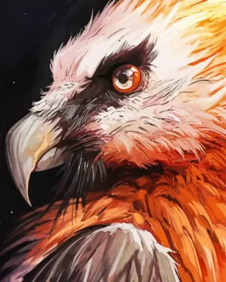 Hooded Vulture Paint by Number