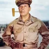 Douglas MacArthur Paint by Numbers