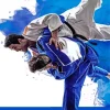 Judo Fighters Paint by Number