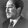 Black And White Langston Hughes Paint By Number