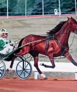 Standardbred Horse Animal Paint by Number