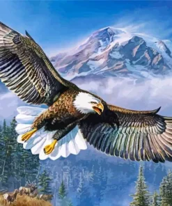 American Eagle Paint By Numbers