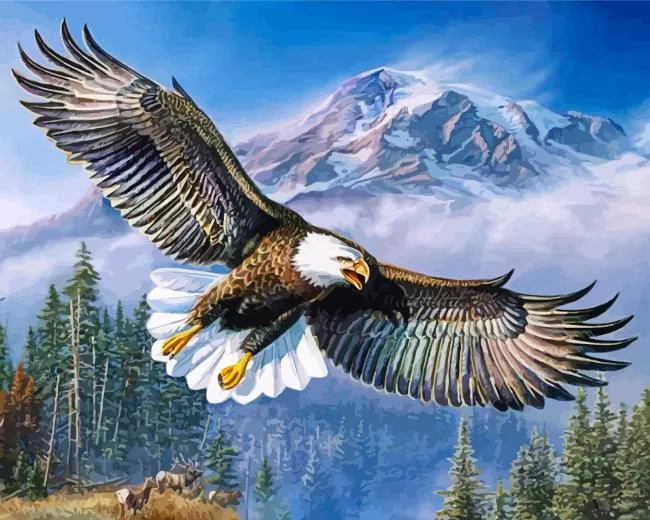 American-Anthem paint by numbers American Eagle Paint By Numbers