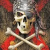 Pirate Skull Paint By Numbers