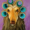 Cute Afghan Hound Paint By Numbers