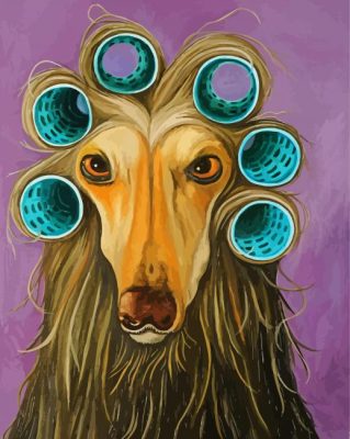 Cute Afghan Hound Paint By Numbers