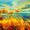 Golden Fields Paint By Number
