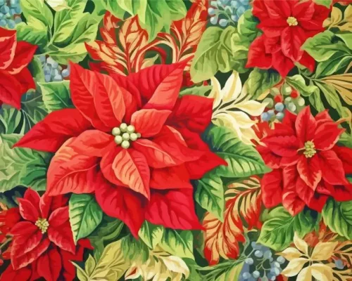 Poinsettias Paint By Numbers
