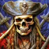 The Pirate King Paint By Numbers