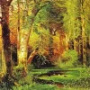 Forest Scene Paint By Numbers