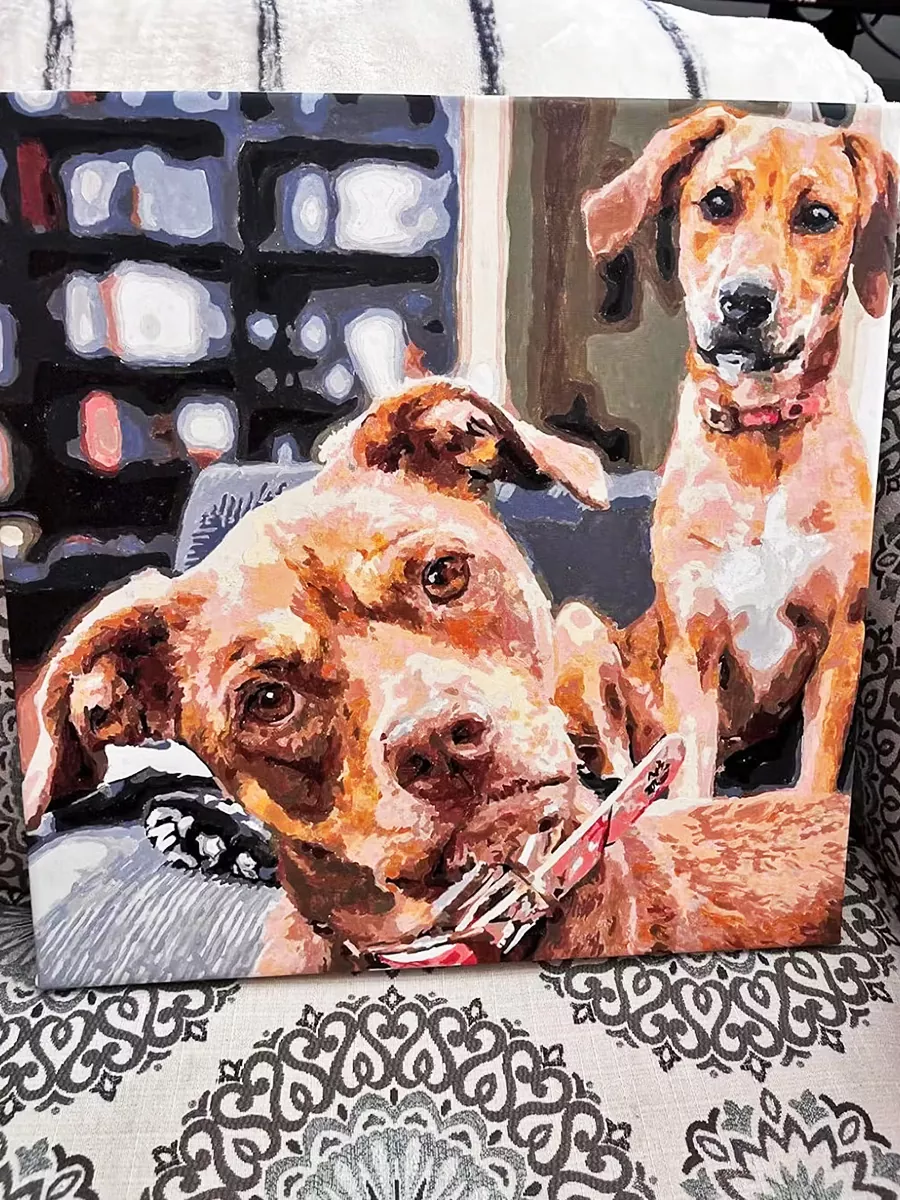 Custom Paint By Numbers​ Pets rev 1