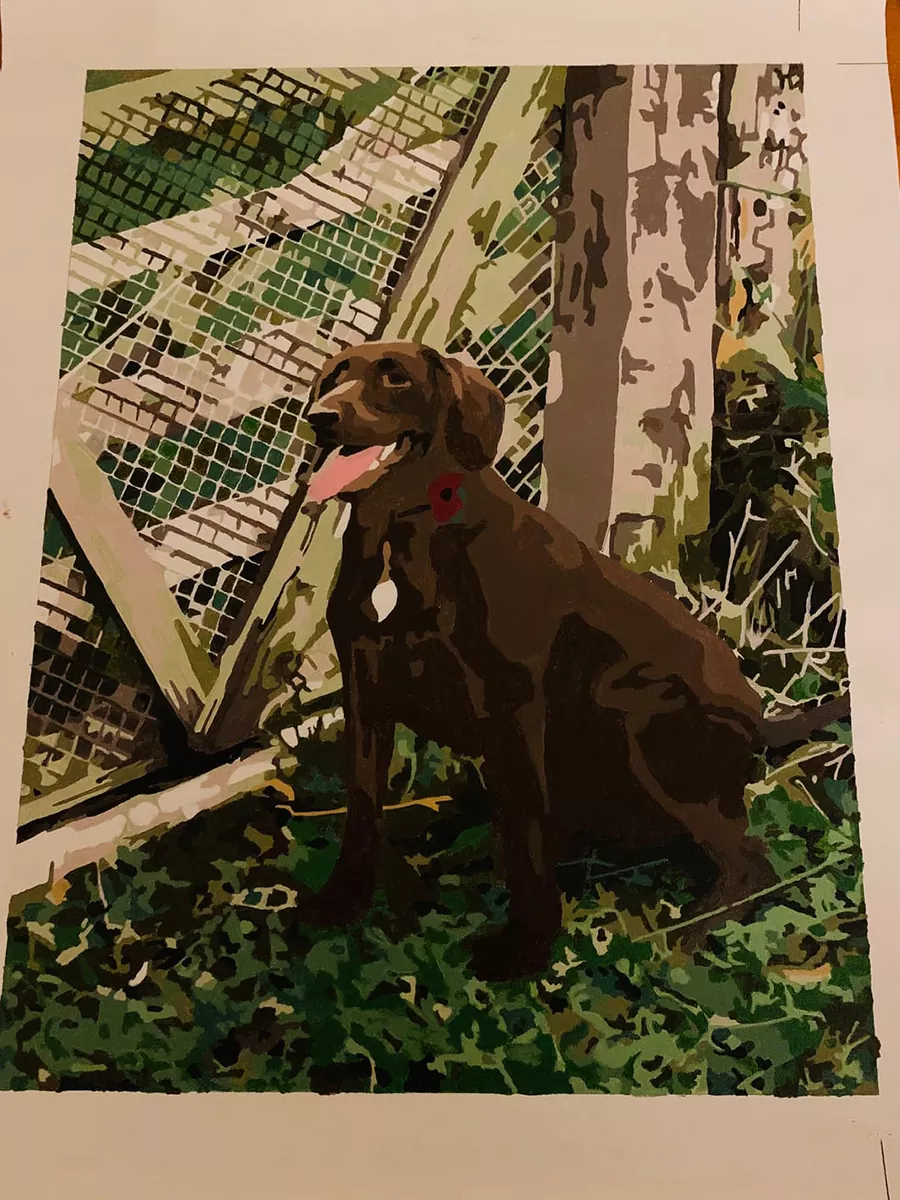 Custom Paint By Numbers​ Pets rev 11