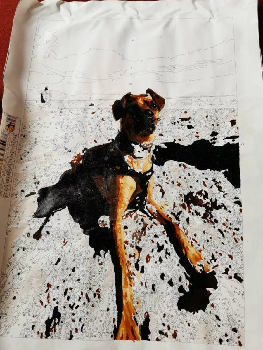 Custom Paint By Numbers​ Pets rev 12