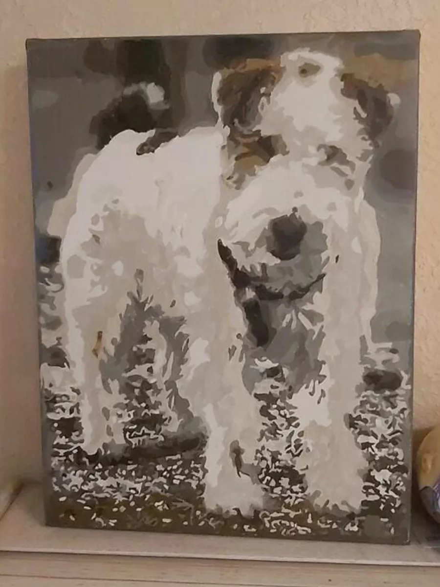 Custom Paint By Numbers​ Pets rev 13