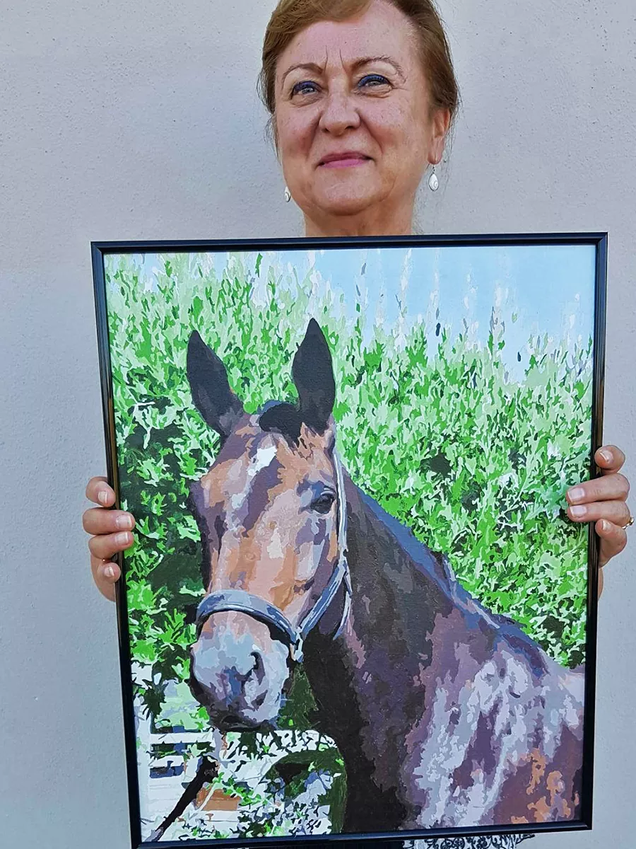 Custom Paint By Numbers​ Pets rev 3