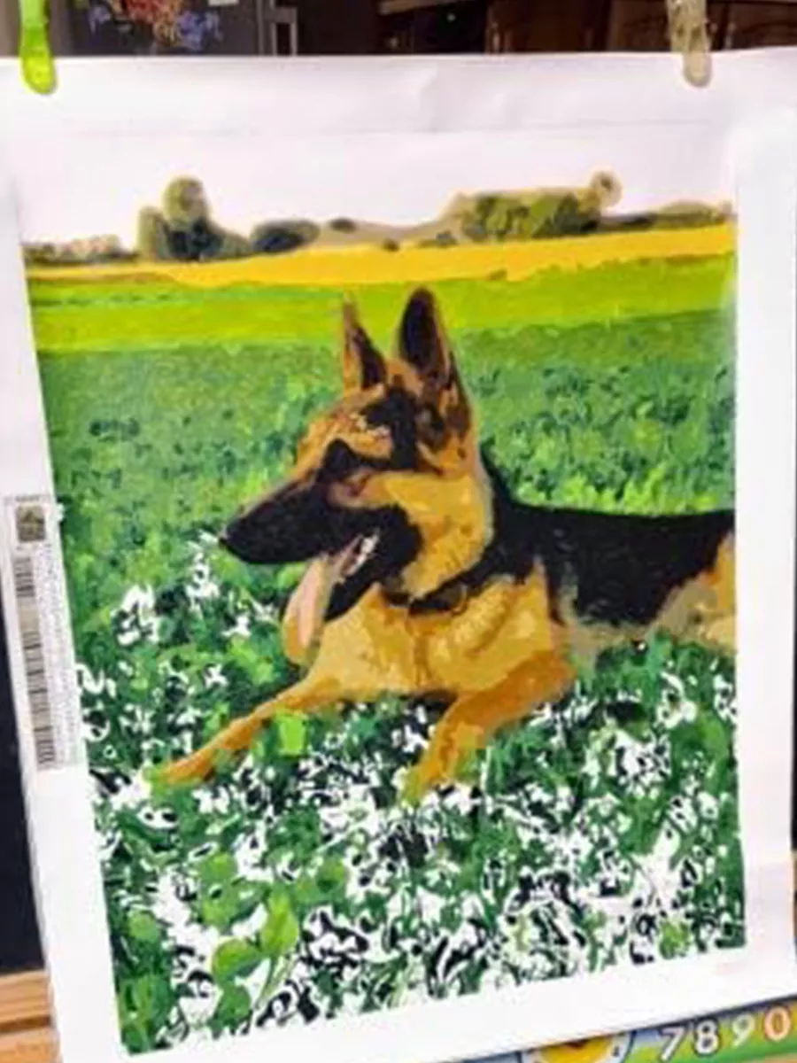 Custom Paint By Numbers​ Pets rev 4