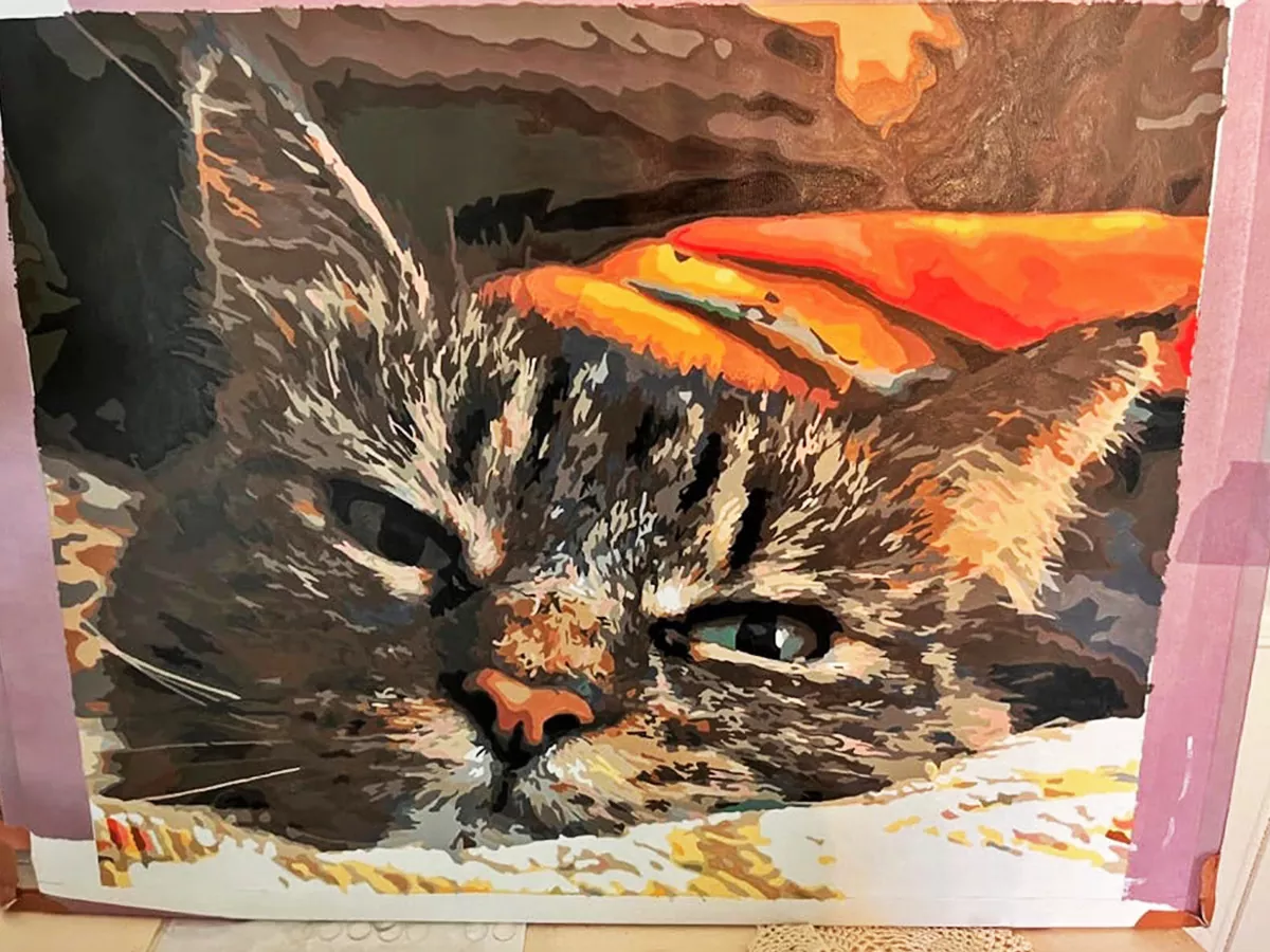 Custom Paint By Numbers​ Pets rev 5