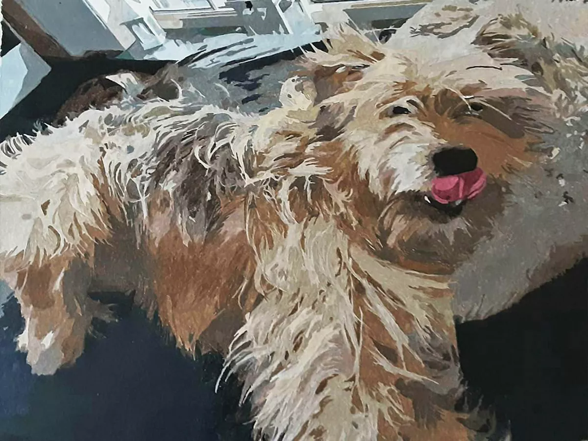 Custom Paint By Numbers​ Pets rev 7