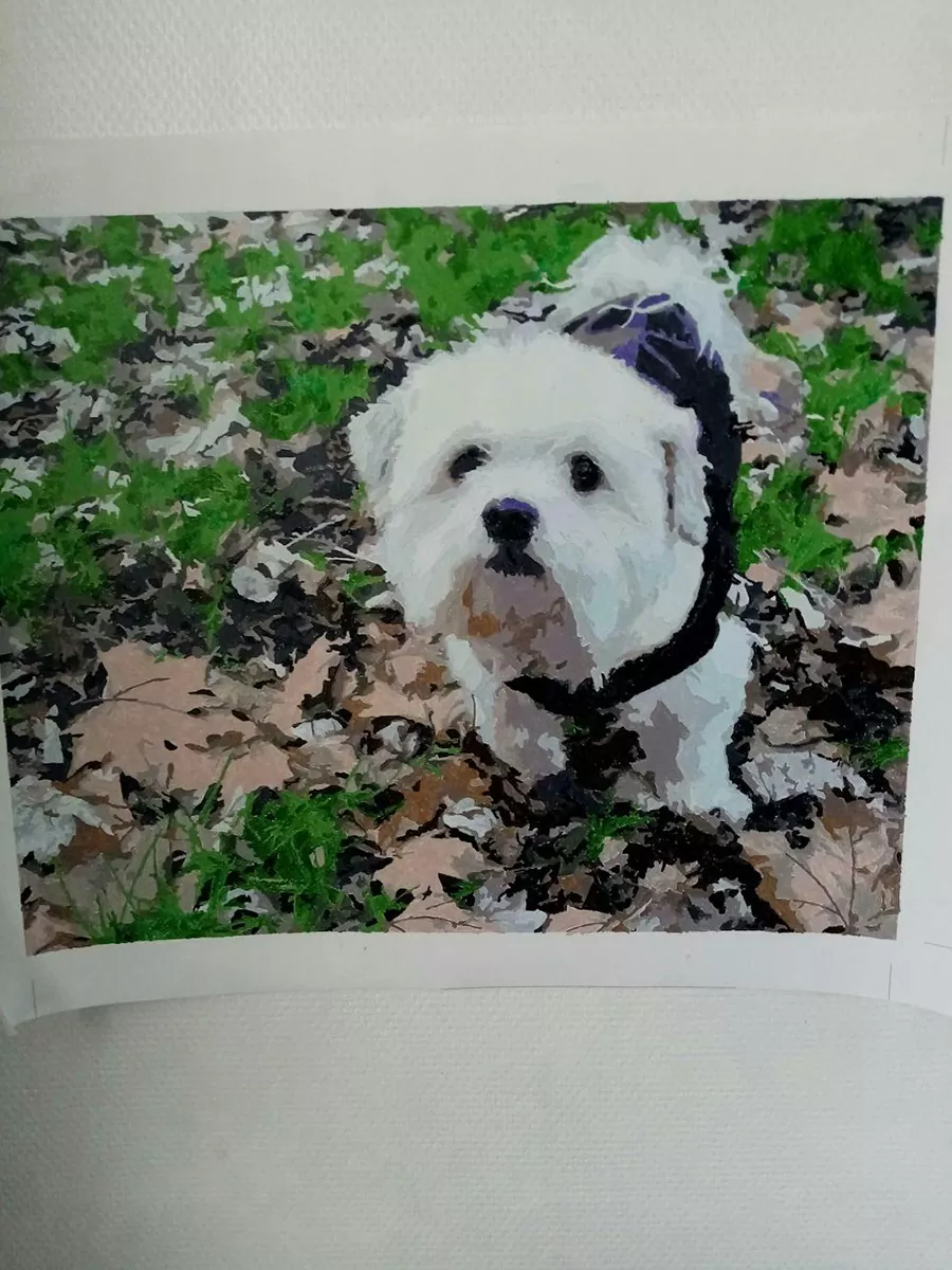 Custom Paint By Numbers​ Pets rev 8