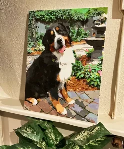 Custom pbn Pets gall 7