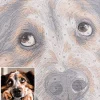 Close-up of numbered canvas sections for eyes, muzzle and coat markings in a custom painting