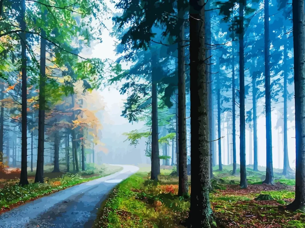 Forest do it your self landscape