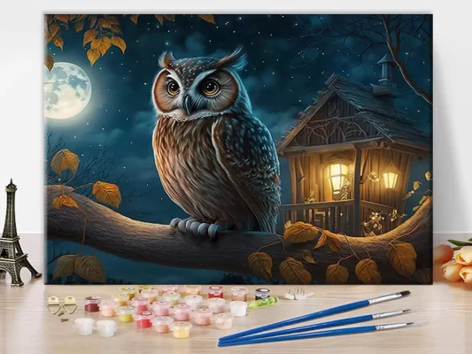 Invite the Mystery of the Night with Owl Painting by Numbers