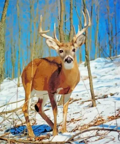 Male White Tailed Deer Paint By Numbers