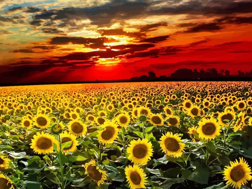 Sunset DIY Landscape Painting